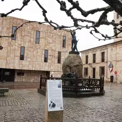 plaza-de-viriato-ociozamora-6